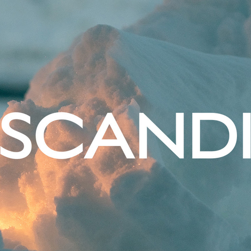 SCANDI – přehlídka současných severských filmů
