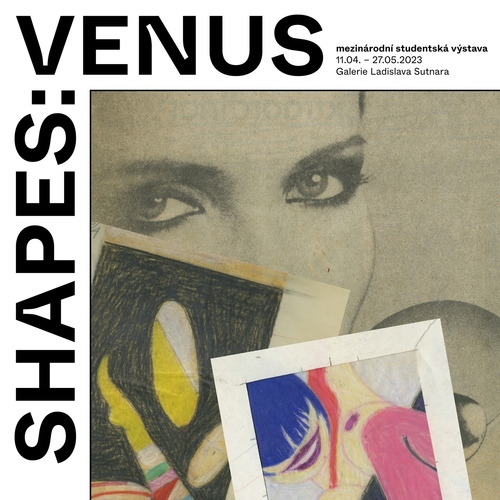 SHAPES: VENUS