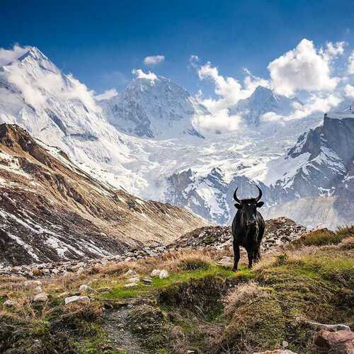 Pavel Svoboda: Cesty indickým Himálajem
