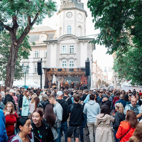 Plzeňský festival vína 2024